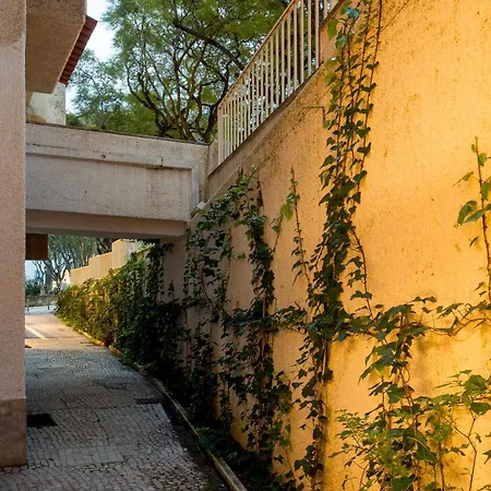 Modern Retreat With Private Courtyard カスカイス